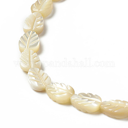 Fili di perle di conchiglia trochid naturale / trochus, foglia, beige, 8~9.5x6.5x3.2mm, Foro: 0.9 mm, circa 43pcs/filo, 15.94 pollice (40.5 cm)