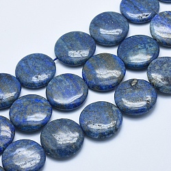 Natural Lapis Lazuli Beads Strands, Flat Round, 24~25x6~7mm, Hole: 1mm, about 16pcs/strand, 15.7 inch(40cm)