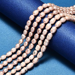 Brins de perles de culture d'eau douce naturelles ovales, navajo blanc, 8~10x7~8mm, Trou: 0.8mm, Environ 38~40 pcs/chapelet, 14.17 pouce (36 cm)