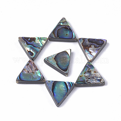 Abalone shell / paua shell beads, triángulo, 13x14.5x3.5mm, agujero: 1 mm
