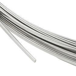 304 Stainless Steel Wire, Flat, Stainless Steel Color, 2x1mm, about 22.97 Feet(7m)/Bundle