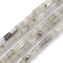 Perline labradorite naturale fili, cuboide, 3.5~6x2.2x2.2mm, Foro: 0.9 mm, circa 79~83pcs/filo, 15.04~15.24'' (38.2~38.7 cm)