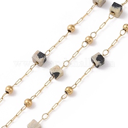 Chaînes de perles carrées en jaspe dalmatien naturel, avec les accessoires en acier inoxydable d'or 304, non soudée, 2~3x2~2.5x2~2.5mm, environ 3.28 pied (1 m)/boîte