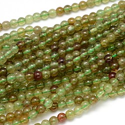 Natürlichen grünen Granat runde Perle Stränge, Andraditperlen, 4 mm, Bohrung: 1 mm, ca. 103 Stk. / Strang, 16 Zoll