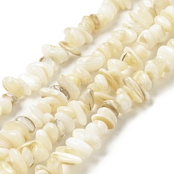 Chapelets de perles de coquillage naturel, chips de pépites, mousseline de citron, 5~13.5x5~8x1.5~6.5mm, Trou: 1mm, Environ 282 pcs/chapelet, 31.30 pouce (79.5 cm)