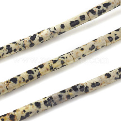 Chapelets de perles en jaspe dalmatien naturelle, colonne, 13~14x4mm, Trou: 1mm, Environ 30 pcs/chapelet, 15.9 pouce (40.5 cm)