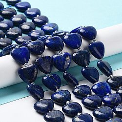 Chapelets de perles en lapis-lazuli naturel, avec des perles de rocaille, teinte, cœur, 14~15x15x6~6.5mm, Trou: 1.4mm, Environ 23~24 pcs/chapelet, 14.57'' (37 cm)
