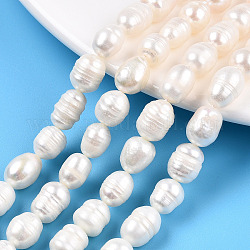 Fili di perle di perle d'acqua dolce coltivate naturali, perline di riso con perle keshi barocche, colore conchiglia, 8~14x7.8~8.5mm, Foro: 0.7~0.8 mm, circa 31~32pcs/filo, 12.80 pollice (32.5 cm)