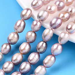 Natural Cultured Freshwater Pearl Beads Strands, Rice, Thistle, 9.5~12x7.5~8.2mm, Hole: 0.7~0.8mm, about 33~37pcs/strand, 14.37 inch(36.5cm)