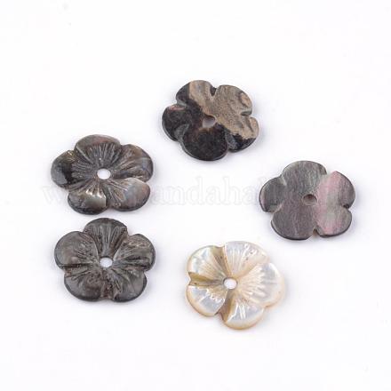 Shell perle naturali labbro nero SHEL-Q008-25-1
