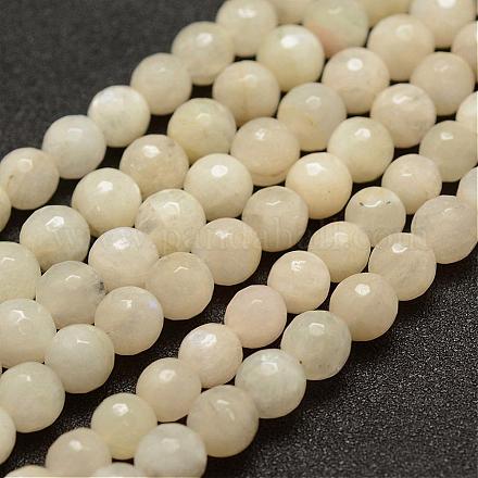 Natürlichen weißen Mondstein Perlen Stränge G-G682-22-8mm-1