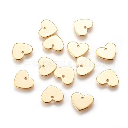 304 Stainless Steel Charms STAS-E447-22G-1