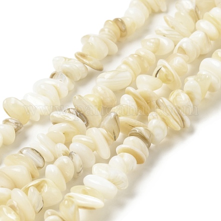 Natural Shell Beads Strands BSHE-G029-01B-1