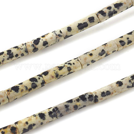 Chapelets de perles en jaspe dalmatien naturelle X-G-F247-21-1