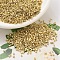MIYUKI Delica Beads, Cylinder, Japanese Seed Beads, 11/0, (DB0034) Gold Light Plated, 1.3x1.6mm, Hole: 0.8mm, about 2000pcs/10g