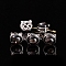 Natural Hypersthene Beads, with Alloy Finding, Cat, 9x11x12mm