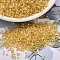 MIYUKI Delica Beads, Cylinder, Japanese Seed Beads, 11/0, (DB1801) Dyed Light Apricot Silk Satin, 1.3x1.6mm, Hole: 0.8mm, about 20000pcs/bag, 100g/bag