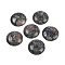 Natural Glaucophane Cabochons, Half Round/Dome, 25x7~8mm