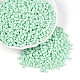 Backlack Glasperlen&nbsp;SEED-N007-30B-1