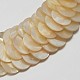 Natural White Shell Beaded Necklaces NJEW-L096-18-2