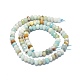 Brins de perles d'amazonite de fleurs naturelles G-F715-096-2