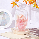 NBEADS Eternal Flower Glass Display Dome Cloche ODIS-WH0010-41B-5