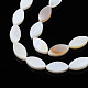 Eau douce naturelle de coquillage perles brins SHEL-Q024A-017-4