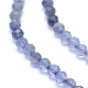 Natural Iolite Beads Strands G-I279-E08-3