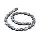 Chapelets de perles en coquille de paua BSHE-K054-07-14MM-2