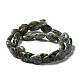 Natural African Turquoise(Jasper) Beads Strands G-L585-F01-01-4