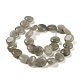 Natural Labradorite Beads Strands G-M403-C09-01-3