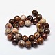 Natural Petrified Wood Round Bead Strands X-G-F266-08-12mm-2