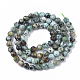 Fili di perle naturali di turchese africano (diaspro) G-S361-5mm-002-2