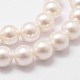 Cuentas perlas de concha de perla X-BSHE-L026-03-8mm-5