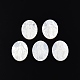 Cabuchones de conchas blancas naturales SSHEL-N034-137-2