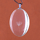 Pendentifs d'alliage ovale plat en verre X-GLAA-Q050-20x30-01P-2