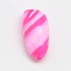 Dyed Natural Spiral Shell Beads SHEL-A003-C03-2