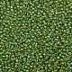 Toho perles de rocaille rondes X-SEED-TR08-0393-2