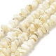 Chapelets de perles de coquillage naturel BSHE-G029-01B-1