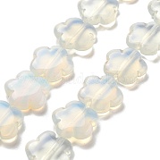 Opalite бисер пряди G-F769-E01-02