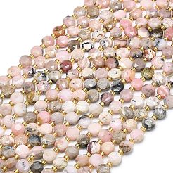 Natürliche rosa Opalkorne Stränge&nbsp;G-C116-A38-02