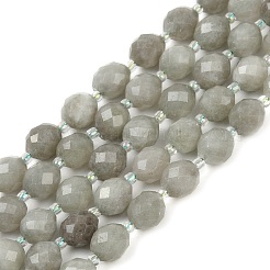 Natürliche Malaysia Jade Perlen Stränge&nbsp;G-D305-A01-01D