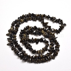 Natürliche goldenen Glanz Obsidian Chip Perle Stränge&nbsp;X-G-M205-07