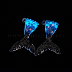 Leuchtende transparente Harzanhänger&nbsp;RESI-TAC0009-46D