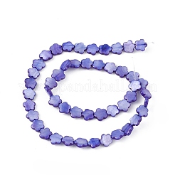 Fili di perline tinti in conchiglia naturale d'acqua dolce&nbsp;SHEL-K001-001E