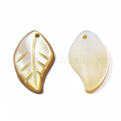 Ciondoli di conchiglia gialla naturale&nbsp;SSHEL-S258-100B