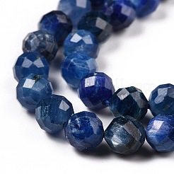 Natürliche kyanite Perlen Stränge&nbsp;G-C009-A05