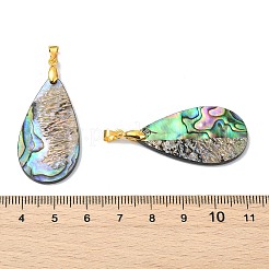 Anhänger aus natürlicher Paua-Muschel/Abalone-Muschel&nbsp;PALLOY-JF05570