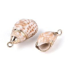 Colgantes de concha marina natural galvanizada&nbsp;SSHEL-T018-12