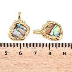 Unregelmäßige Anhänger aus Messing mit natürlicher Paua-Muschel&nbsp;KK-I453-01G-03